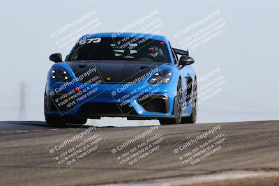 media/Jun-01-2025-PCA Golden Gate (Sun) [[9e4b10205a]]/Red/Session 1 (Grapevine)/